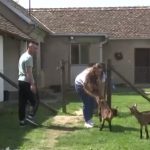 Ivanu i Milici su koze i kupovina kuće na selu promenili život (FOTO)