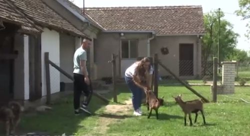 Ivanu i Milici su koze i kupovina kuće na selu promenili život (FOTO)