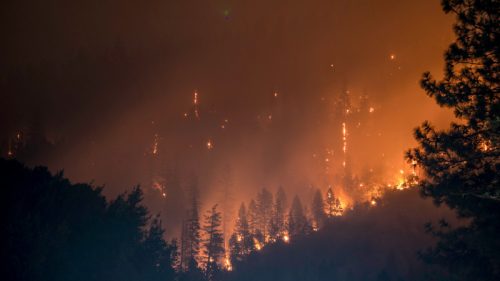 Požar na Hvaru: Vatra se približila kućama (VIDEO)