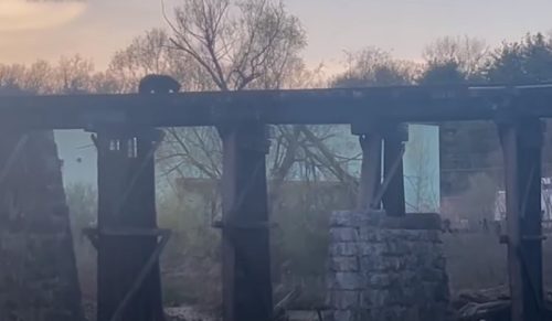 Pogledajte dirljivu scenu: Meče sa mosta pada u vodu, majka očajnički trči da ga spasi (VIDEO)