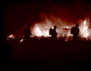 Veliki požar zahvatio 15 kuća kod Prijepolja: Meštani evakuisani, vatra se širi ka drugom selu