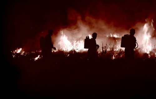 Izbio požar u fabrici u Apatinu: Gust, crn dim prekrio grad, vidi se i u Somboru (VIDEO)