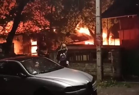 Veliki požar na Detelinari, vatrogasci iz plamena spasili psa (VIDEO)