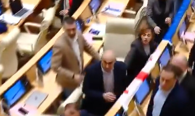 Tuča u gruzijskom parlamentu zbog zakona “o stranim agentima” (VIDEO)