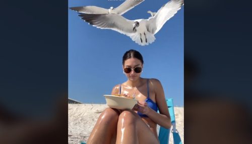 Želela je da snimi kako uživa na plaži jedući salatu, ali se idila pretvorila u horor: Ovaj snimak pogledan je 46 miliona puta (VIDEO)