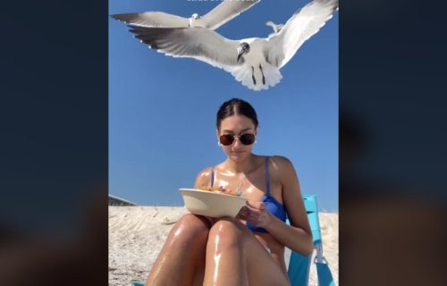 Želela je da snimi kako uživa na plaži jedući salatu, ali se idila pretvorila u horor: Ovaj snimak pogledan je 46 miliona puta (VIDEO)