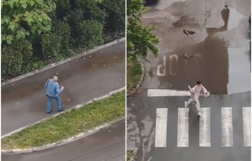 Jezivi napadi vrana na građane u Nišu! Devojka se jedva odbranila od ptica, vrištala i bežala, pa pala (VIDEO)