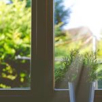 Stiže prolećno vreme: Pred nama topao i sunčan dan, temperatura do 25 stepeni