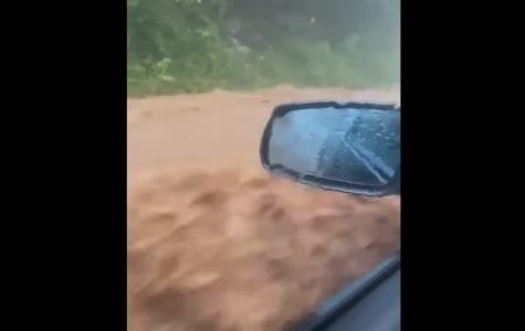 Drama kod Užica: Porodica sa detetom (2) zaglavljena na poplavljenom putu, vatrogasci reagovali munjevito (VIDEO)