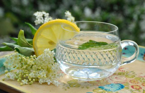 Recept za sok od zove: Pravi se lakše nego što mislite, samo je važno da budete strpljivi 2 dana (RECEPT)