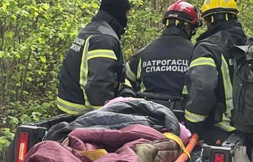 Vatrogasci iz Pirota spasili ženu sa prelomom noge na nepristupačnom terenu (FOTO)