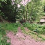 U banji blizu Zlatibora noćenje 700 dinara: Na ovo mesto smo potpuno zaboravili, a pravi je raj za odmor (VIDEO)