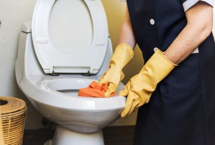 Kako da savršeno očistite toalet bez sredstava koja “štipaju oči”? Rešenje je prašak za veš