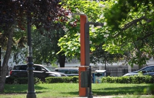 Na Zvezdari postavljeno prvo WiFi drvo za besplatni internet