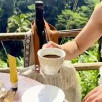 Ovo je najskuplja kafa na svetu! Ima i svoju mračnu stranu zbog čega je mnogi ne bi probali