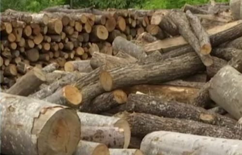 Stroga zabrana: Usvojen važan zakon za sve koji se greju na drva