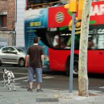Srbin ubijen u sačekuši u Barseloni: Pucali mu u leđa, objavljen uznemirujući video