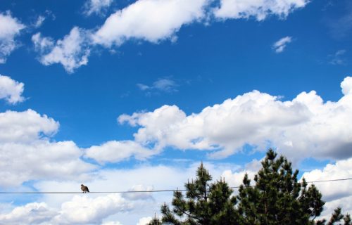 RHMZ: Sunčano i toplije, ponegde sa oblacima