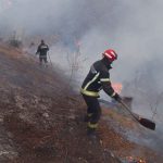 Gori divlja deponija na ulasku u Novi Sad: Gust dim se širi, vozači upozoreni na smanjenu vidljivost