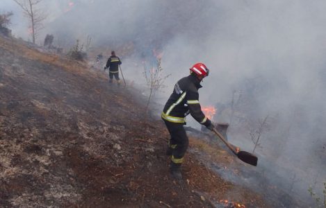 U Srbiji aktivna 34 požara: Na Suvoj planini više od 170 ljudi, vatra bukti i na drugim lokacijama