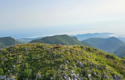 Dramatična akcija helikopterskih spasilaca Crne Gore: Muškarac evakuisan sa nepristupačnog grebena