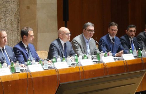 Vučević predsedavao sednicom Saveta za BDP, prisustvovao i predsednik Vučić (FOTO)