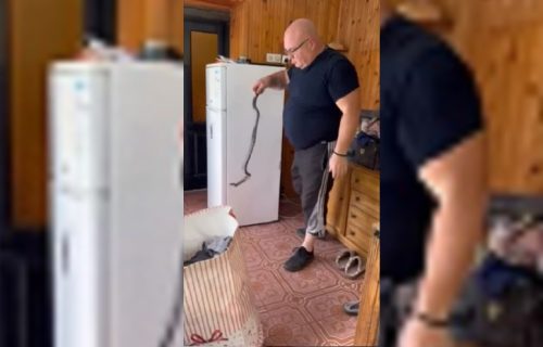 "Jao, gledaj kakva je čoveče": Najpoznatiji zmijolovac u Srbiji spasao porodicu u Vladičinom Hanu (VIDEO)