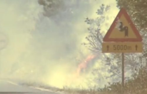 Podrška od prijatelja: Srbija šalje pomoć Severnoj Makedoniji u borbi protiv požara