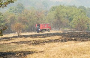 „Ne vraćamo se dok ne ugasimo svako žarište“: Požar pod kontrolom, vatrogasci privode kraju tešku borbu
