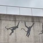 Benksi ponovo opominje: Siluete životinja na muralima Londona