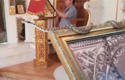 "Bogorodičine zmije" se ponovo pojavile na Veliku Gospojinu: Gmizale po ikonama, vernici smatraju da donose sreću (VIDEO)