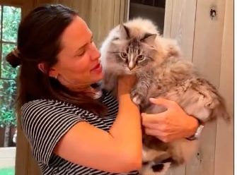 Dženifer je pokazala mački "zabranjene" delove kuhinje: Persijanerka je bila oduševljena (VIDEO)