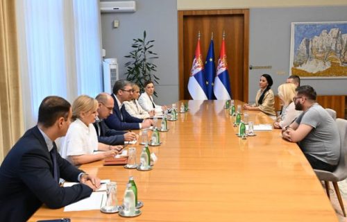 "Nećemo odustati dok svakom detetu ne vratimo osmeh na lice": Vučić sa predstavnicima udruženja "DEBRA"