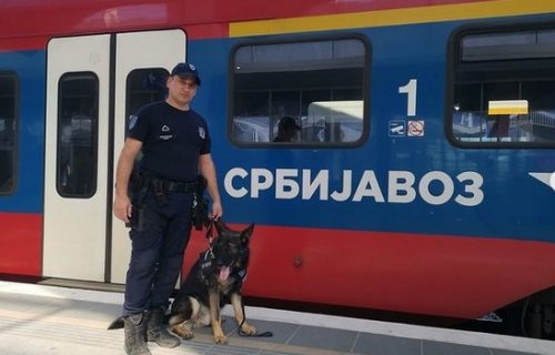 Pripadnici MUP-a učestvovali u međunarodnoj akciji: Sproveli detaljne kontrole na železničkim stanicama
