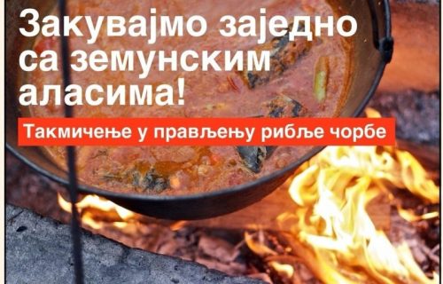 Uživanje za ljubitelje ribljih specijaliteta: Takmičenje u kuvanju riblje čorbe na zemunskoj pijaci