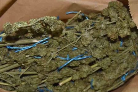 Velika akcija MUP-a u Obrenovcu: Zaplenjeno 50 kilograma marihuane, uhapšene dve osobe