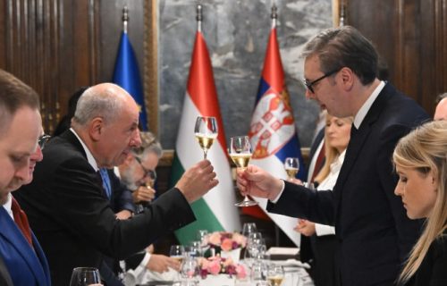 Vučić ugostio predsednika Mađarske na ručku: "Verujem da naše dve zemlje mogu da naprave veliki iskorak u budućnost"