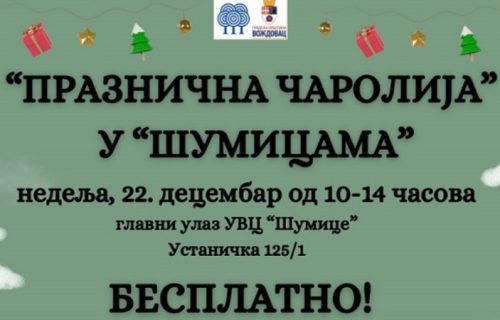 Praznična čarolija u Šumicama: Radost za najmlađe posetioce u nedelju na Voždovcu