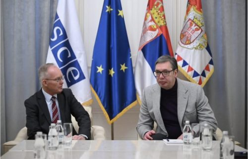 "Saradnja Srbije i OEBS-a je izuzetna, ostajemo posvećeni miru": Predsednik Vučić se zahvalio Janu Bratuu (FOTO)