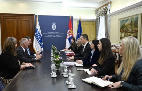Ministar Đurić primio u oproštajnu posetu šefa Misije OEBS-a u Srbiji: Odlična saradnja i partnerski odnos