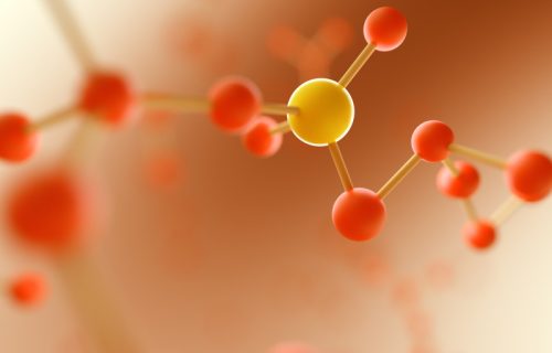Protirelin Peptide: Insights into its Mechanisms and Research Implications
