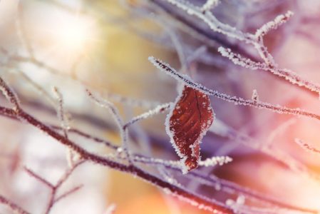 I danas hladno: Ujutru mraz, tokom dana sunčano sa temperaturama u minusu