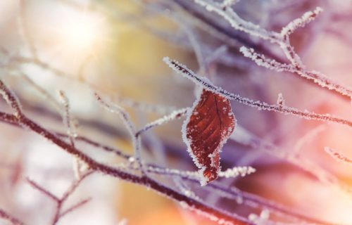 I danas hladno: Ujutru mraz, tokom dana sunčano sa temperaturama u minusu