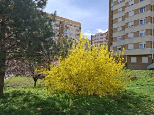 Za Uskrs moguć i sneg: Stiže nam osetno zahlađenje, tokom praznika se očekuju padavine