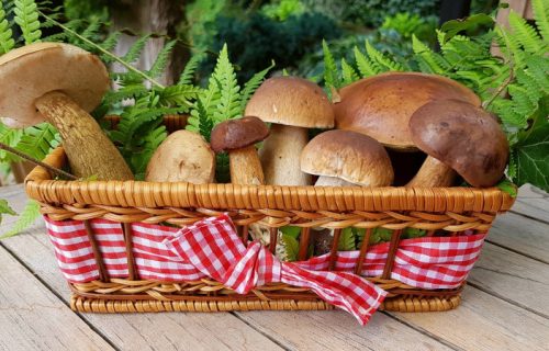 Namaz od pečuraka: Punog ukusa i kremaste strukture, obiluje zdravim sastojcima (RECEPT+VIDEO)