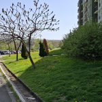 RHMZ: Toplo i vetrovito, popodne naoblačenje sa kišom