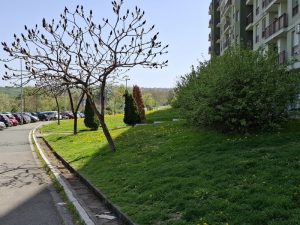 Hladno ali vedro prvomajsko jutro: U delovima Srbije minus na praznik, temperatura ostaje ispod 20