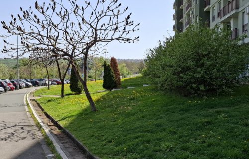 RHMZ: Toplo i vetrovito, popodne naoblačenje sa kišom