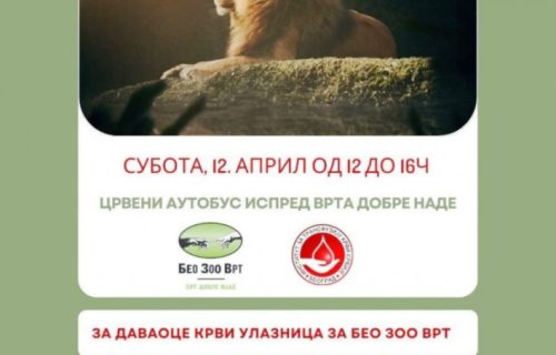 Transfuziomobil ispred Beo zoo-vrta: Za davaoce krvi besplatna ulaznica