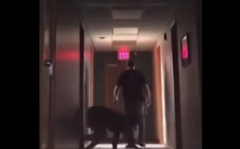 “Horor” u noćnoj smeni: Sin je želeo malo da se našali sa očuhom, sačekao je razlaz, a onda napravio šou